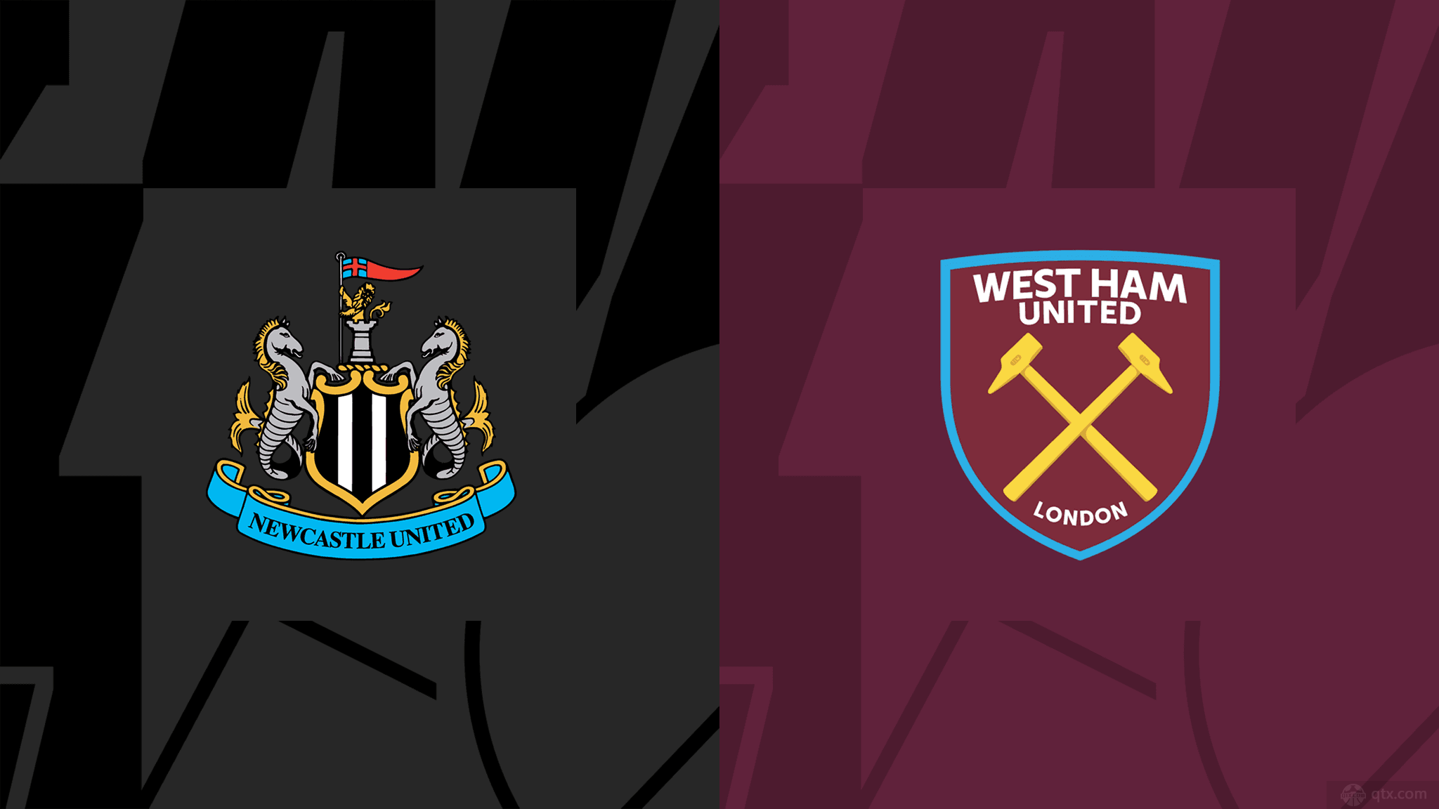 体成员协同 体成员协同